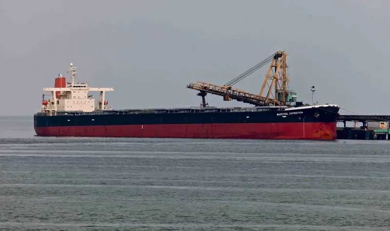 BAOSTEEL EXPEDITION Bulk Carrier IMO 9346184 photo 6