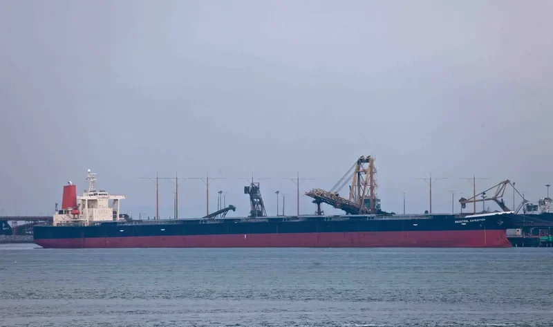 BAOSTEEL EXPEDITION Bulk Carrier IMO 9346184 photo 7