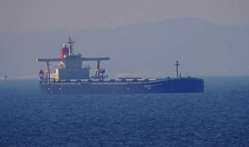 BAOSTEEL EXPEDITION Bulk Carrier IMO 9346184 photo 8