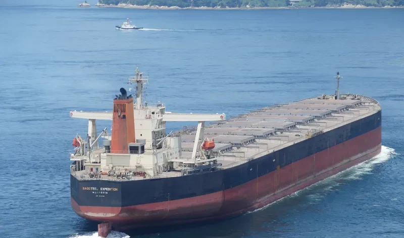 BAOSTEEL EXPEDITION Bulk Carrier IMO 9346184 photo 9