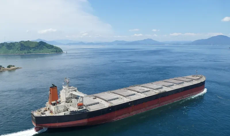 BAOSTEEL EXPEDITION Bulk Carrier IMO 9346184 photo 10