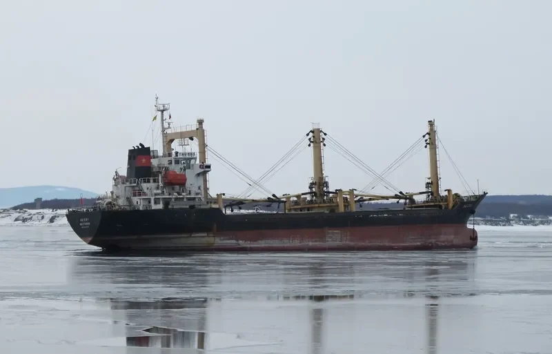 PHC ENDEAVOR General Cargo IMO 9346196 photo 2