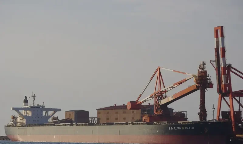 IRENE II Bulk Carrier IMO 9346354