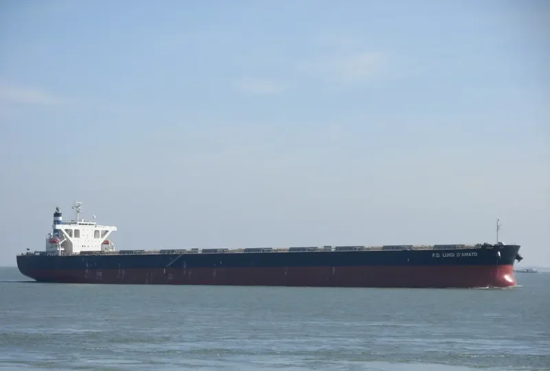 IRENE II Bulk Carrier IMO 9346354 photo 3