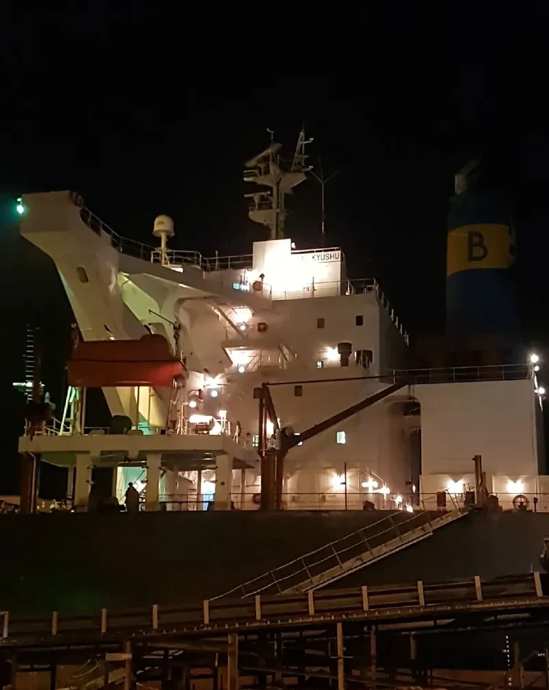 ORIENTAL EXPRESS Bulk Carrier IMO 9346366