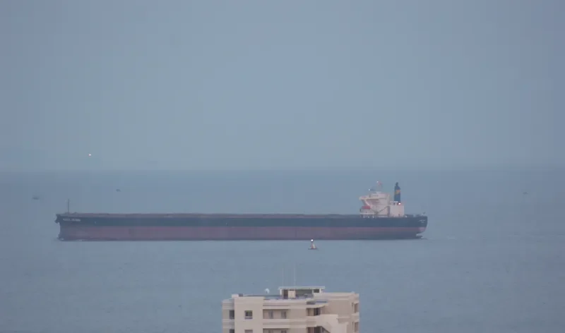 ORIENTAL EXPRESS Bulk Carrier IMO 9346366 photo 5