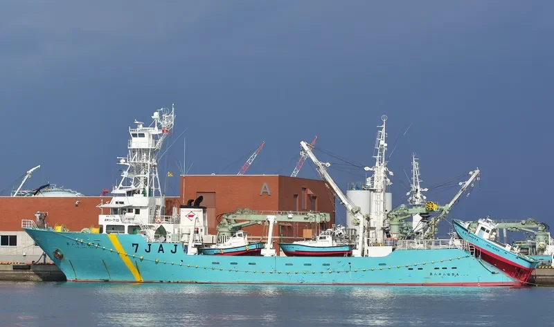 SOHO MARU NO.88 General Cargo IMO 9346392