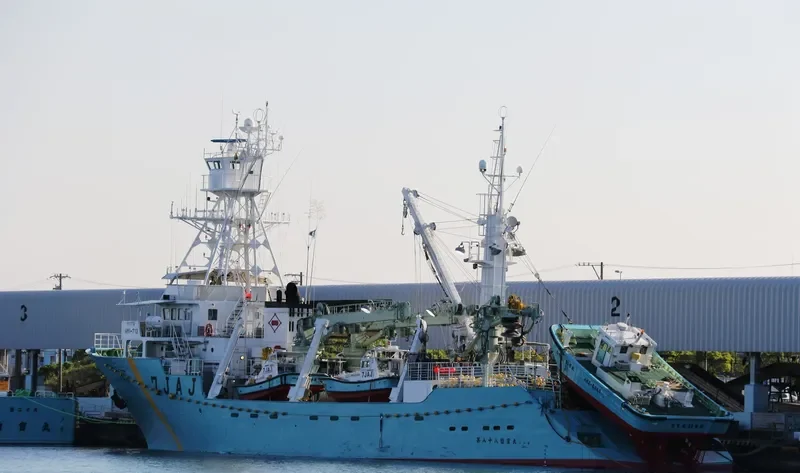 SOHO MARU NO.88 General Cargo IMO 9346392 photo 3