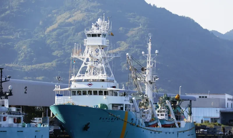 SOHO MARU NO.88 General Cargo IMO 9346392 photo 5