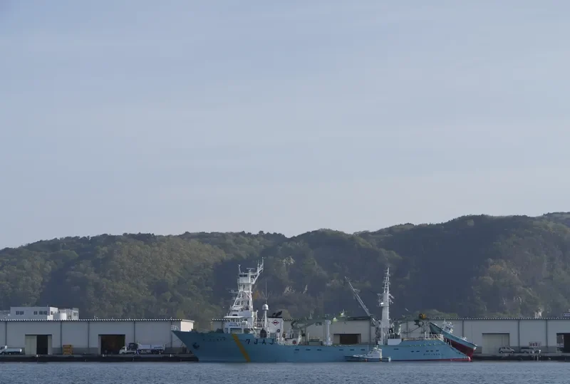 SOHO MARU NO.88 General Cargo IMO 9346392 photo 6