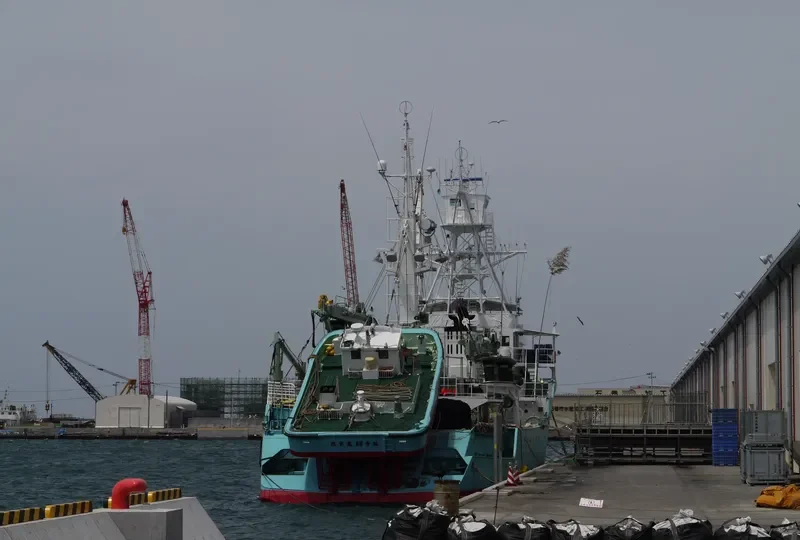 SOHO MARU NO.88 General Cargo IMO 9346392 photo 7