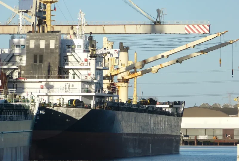 PODLASIE Bulk Carrier IMO 9346811 photo 8