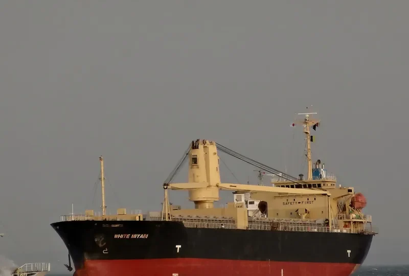 GRAND TAJIMA ONE General Cargo IMO 9347138 photo 6