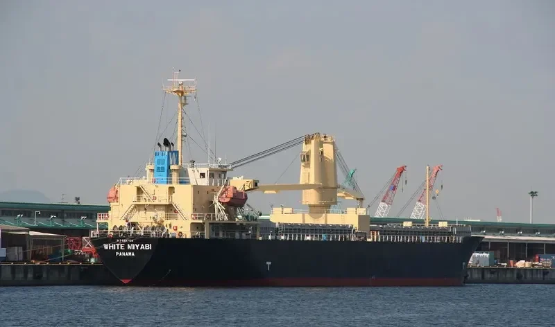 GRAND TAJIMA ONE General Cargo IMO 9347138 photo 7