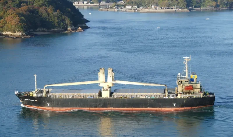 GRAND TAJIMA ONE General Cargo IMO 9347138 photo 10