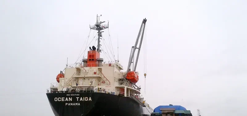 PRECIOUS OCEAN General Cargo IMO 9347140 photo 2