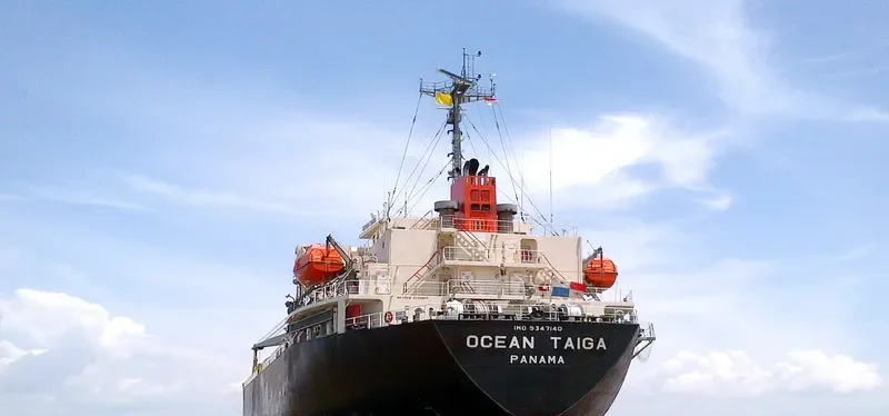 PRECIOUS OCEAN General Cargo IMO 9347140 photo 5