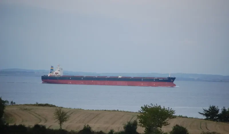 GRAND CENTURY Bulk Carrier IMO 9347164 photo 8