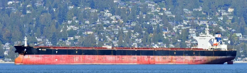 BIG BANG Bulk Carrier IMO 9347188 photo 3
