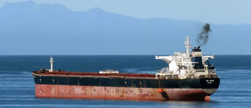 BIG BANG Bulk Carrier IMO 9347188 photo 8