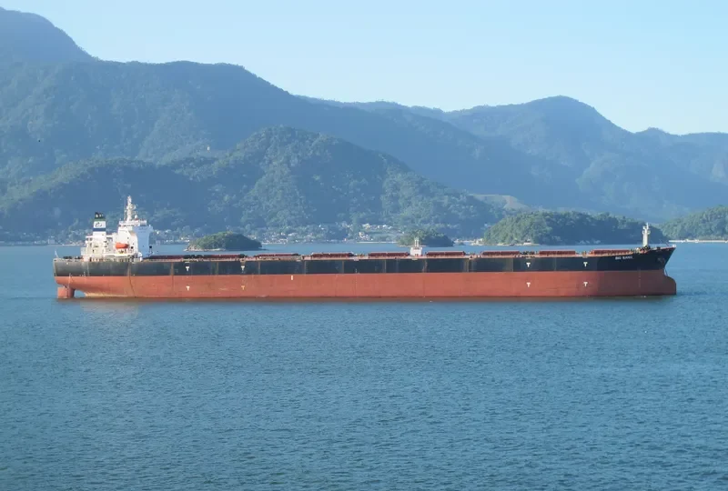 BIG BANG Bulk Carrier IMO 9347188 photo 9