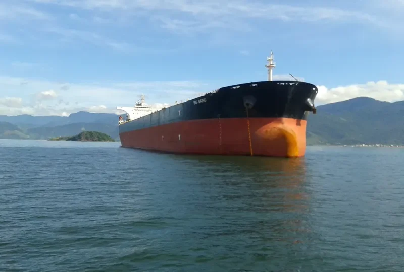 BIG BANG Bulk Carrier IMO 9347188 photo 10