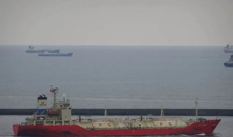 DL BEGONIA General Cargo IMO 9347475