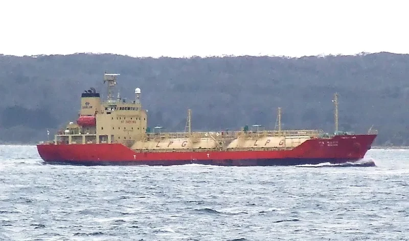 DL BEGONIA General Cargo IMO 9347475 photo 6