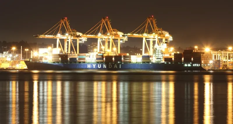 HYUNDAI GOODWILL Container Ship IMO 9347607