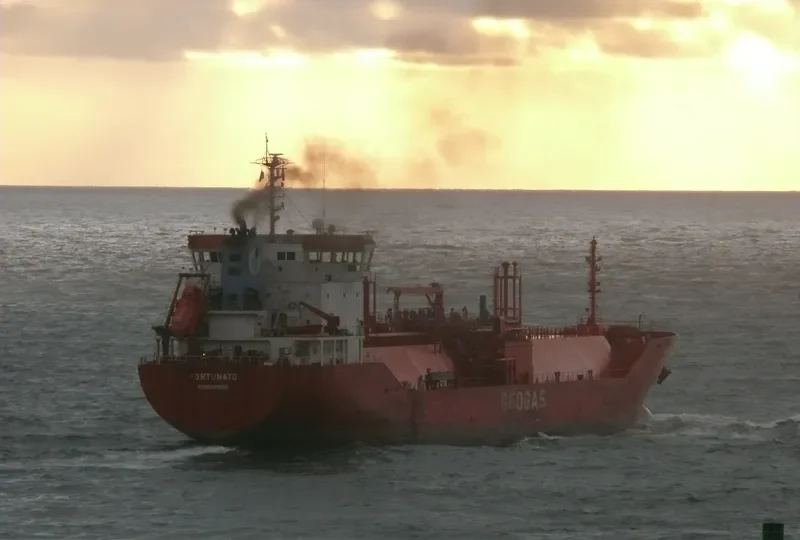 FORTUNATO General Cargo IMO 9347736 photo 2