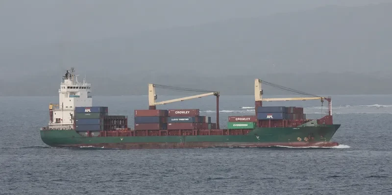 MSC LENA F Container Ship IMO 9347762
