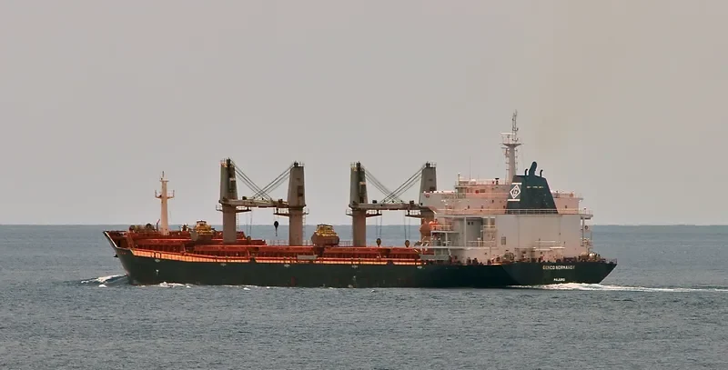 HG MELBOURNE Bulk Carrier IMO 9347877 photo 3