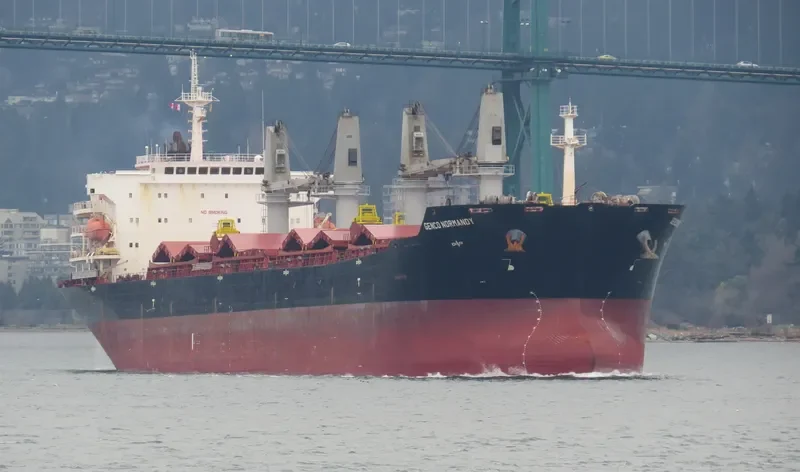 HG MELBOURNE Bulk Carrier IMO 9347877 photo 8