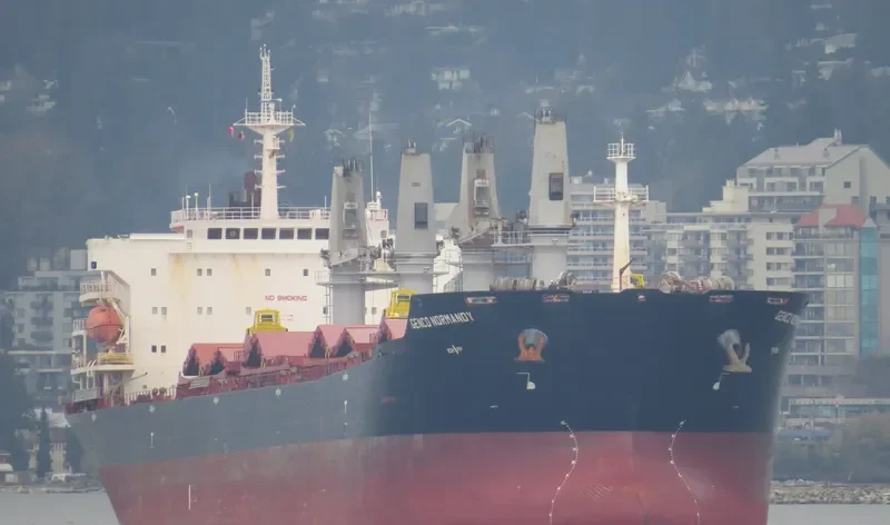 HG MELBOURNE Bulk Carrier IMO 9347877 photo 10