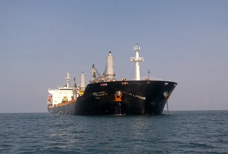 RICHMOND PEARL Bulk Carrier IMO 9347889 photo 2