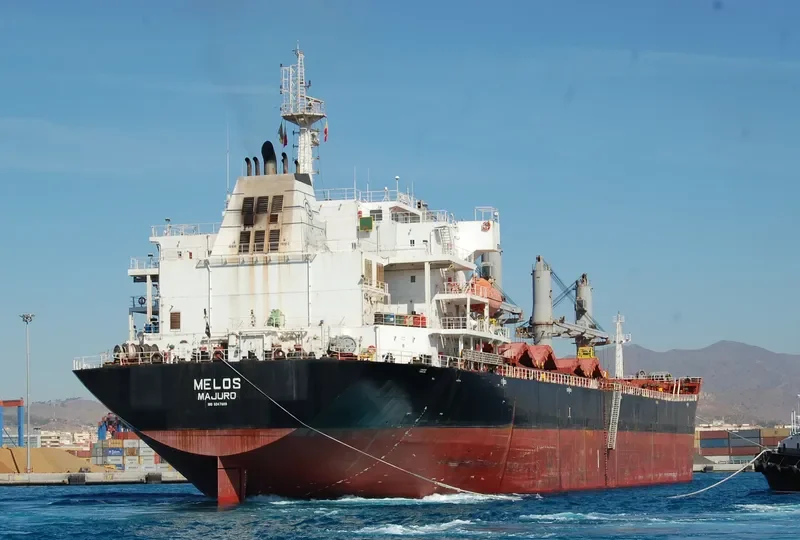 RICHMOND PEARL Bulk Carrier IMO 9347889 photo 7