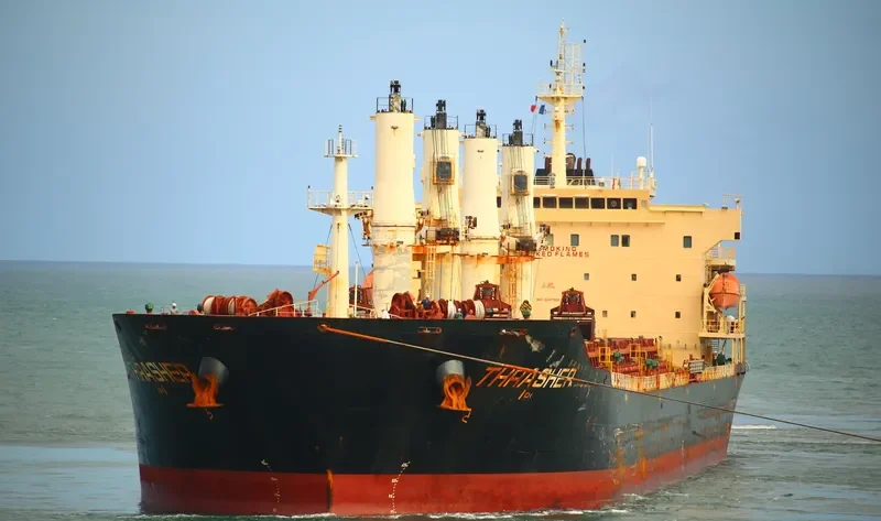 ECOATLANTIC Bulk Carrier IMO 9347932 photo 3
