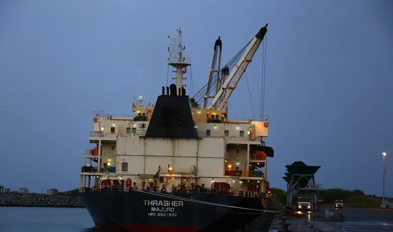 ECOATLANTIC Bulk Carrier IMO 9347932 photo 5