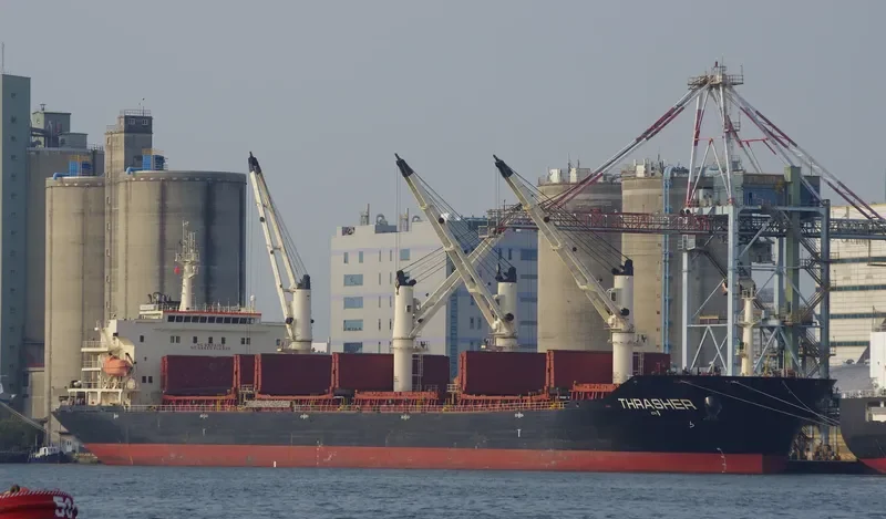 ECOATLANTIC Bulk Carrier IMO 9347932 photo 8