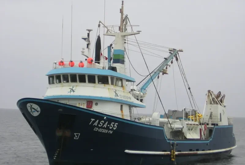 TASA 55 General Cargo IMO 9348039