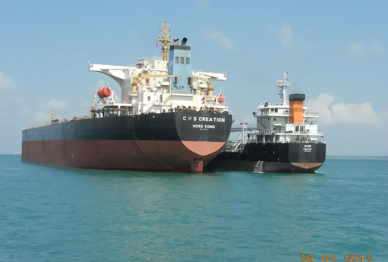 C H S CREATION Bulk Carrier IMO 9348273