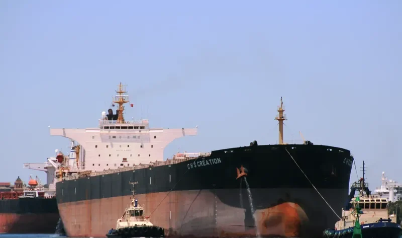C H S CREATION Bulk Carrier IMO 9348273 photo 4