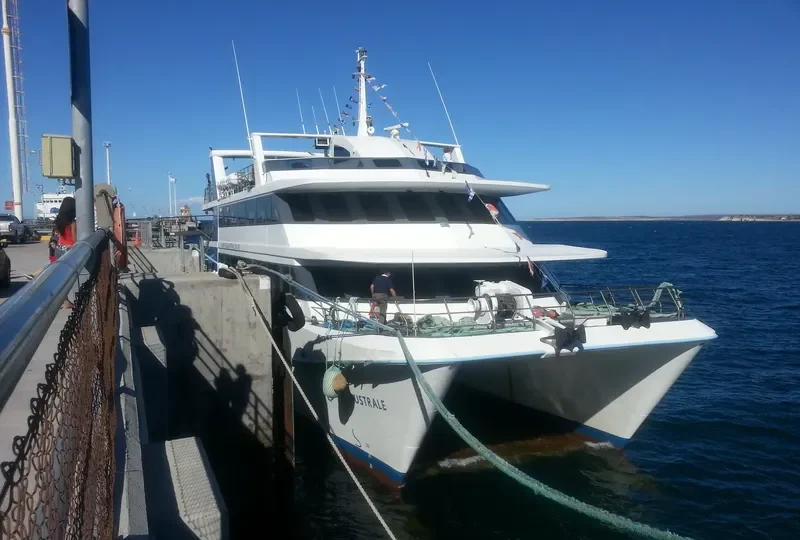 REGINA AUSTRALE Passenger Ship IMO 9348314