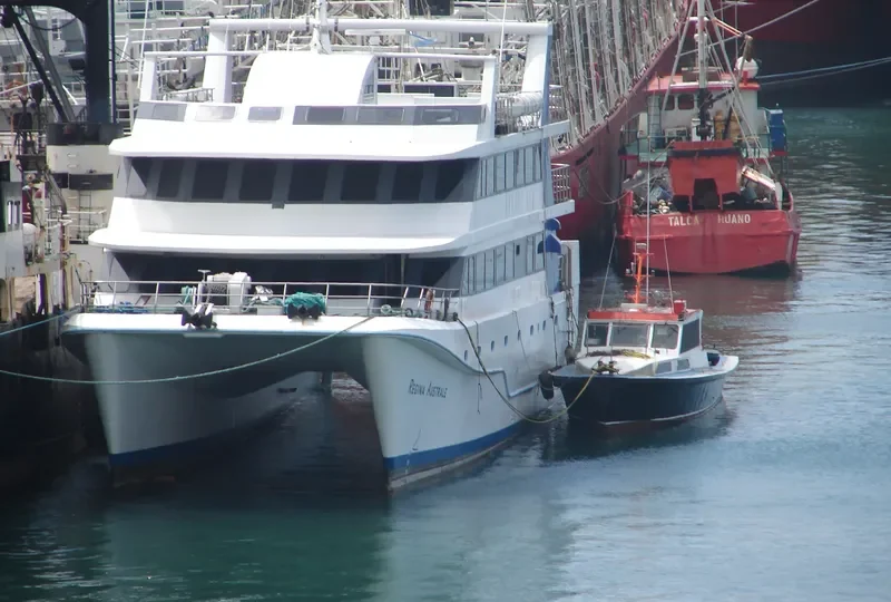 REGINA AUSTRALE Passenger Ship IMO 9348314 photo 2