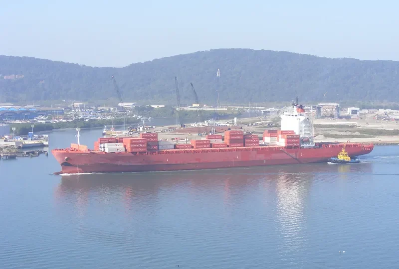 NORTHERN GUARD Container Ship IMO 9348455 photo 7