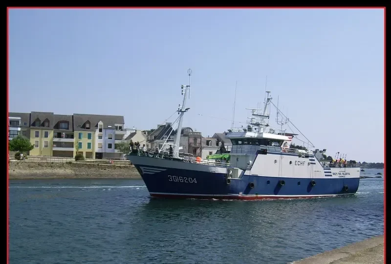 REY DE OLAYA General Cargo IMO 9348613 photo 3