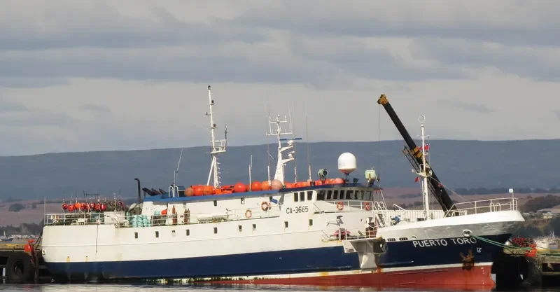 PUERTO TORO General Cargo IMO 9348869 photo 2