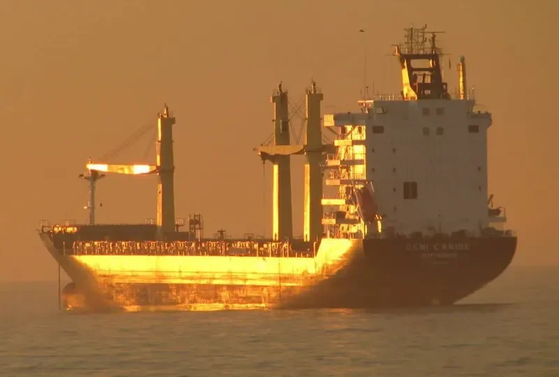 CARIBBEAN EXPRESS Container Ship IMO 9348986 photo 9