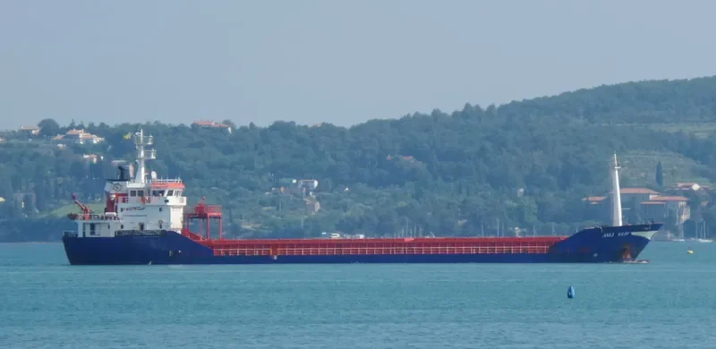 ASLI ELIF General Cargo IMO 9349021 photo 8