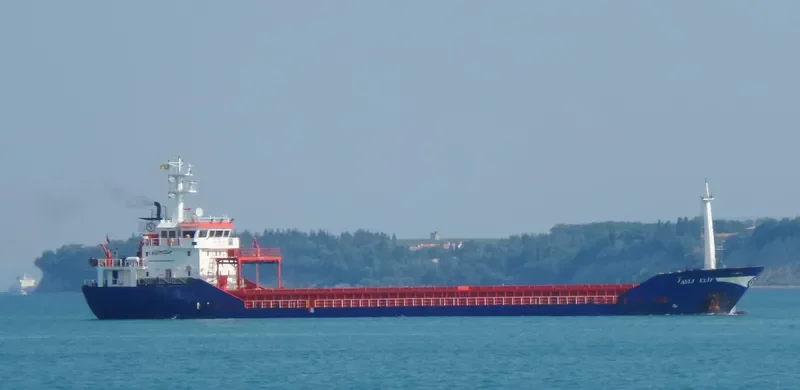ASLI ELIF General Cargo IMO 9349021 photo 9